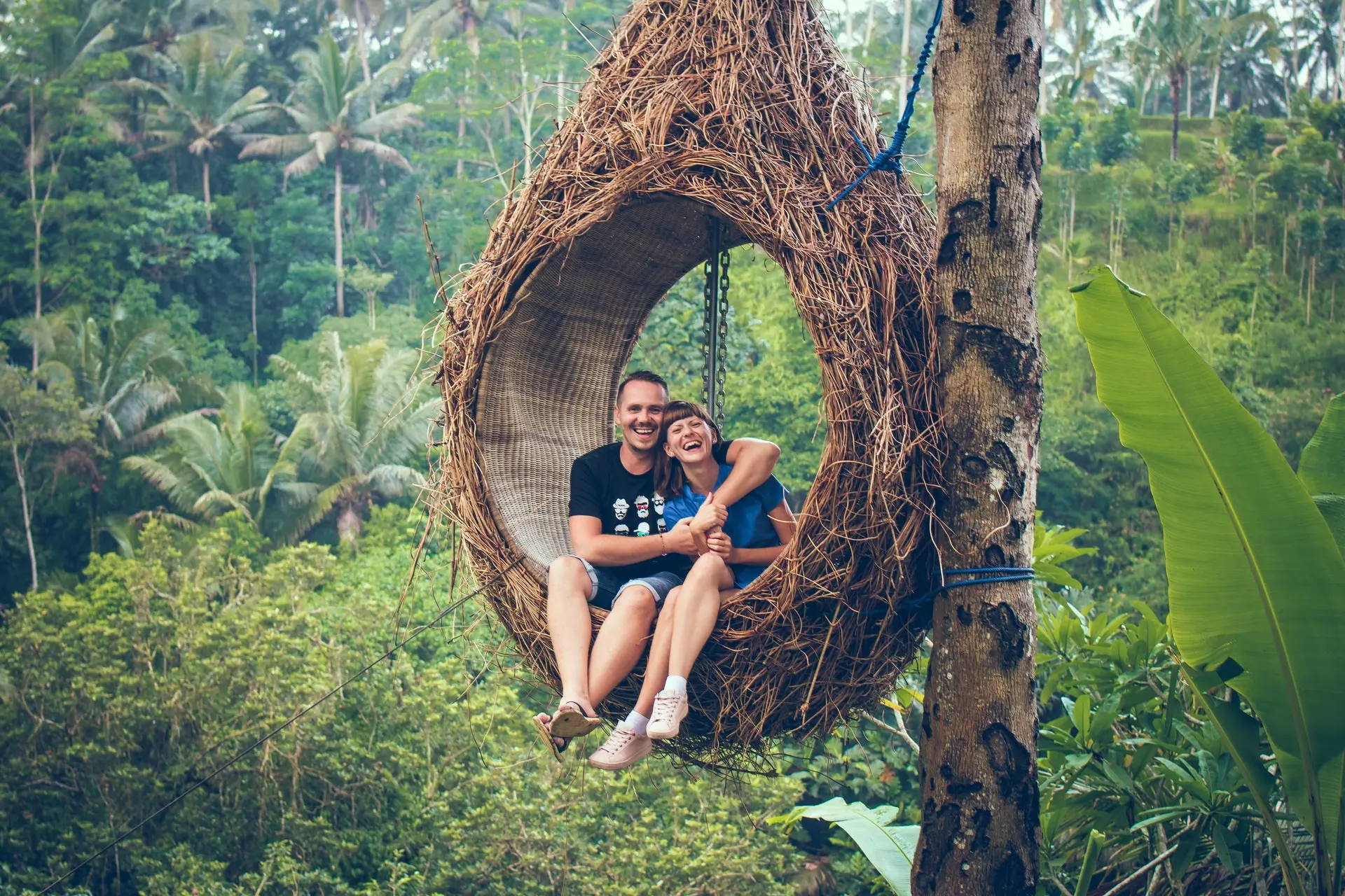couples in the tropics couples in the tropics